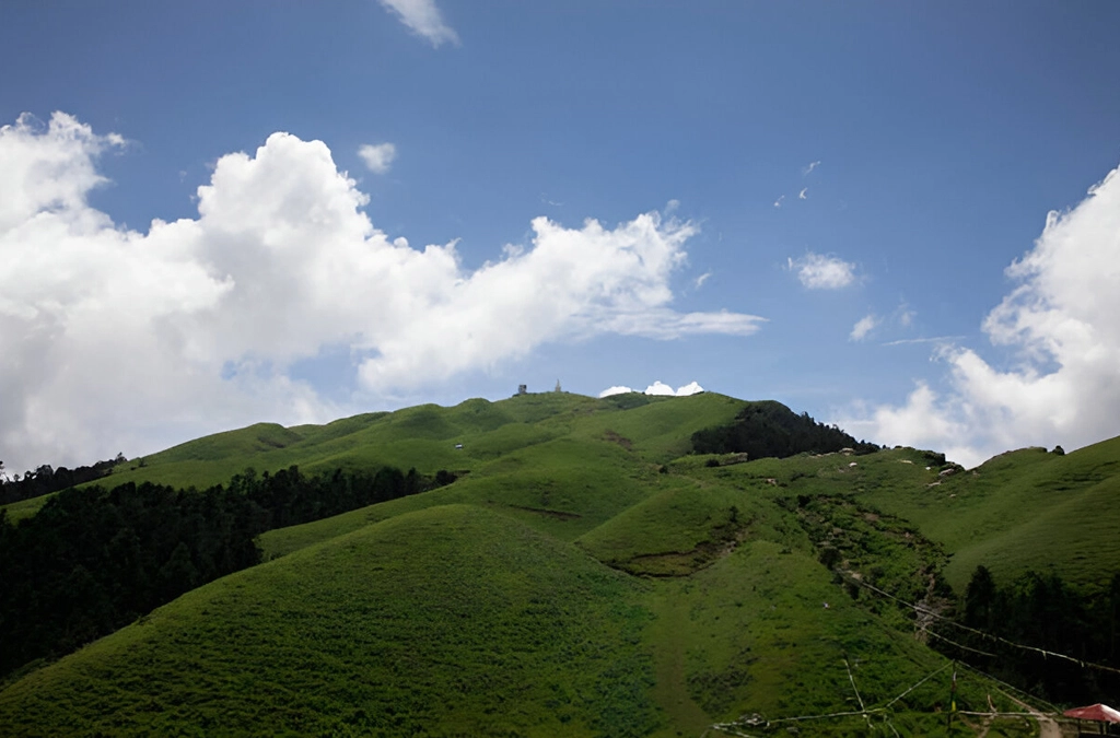 Gallery Img