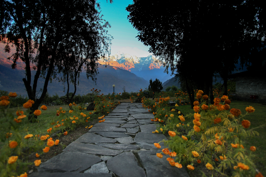 Gallery Img