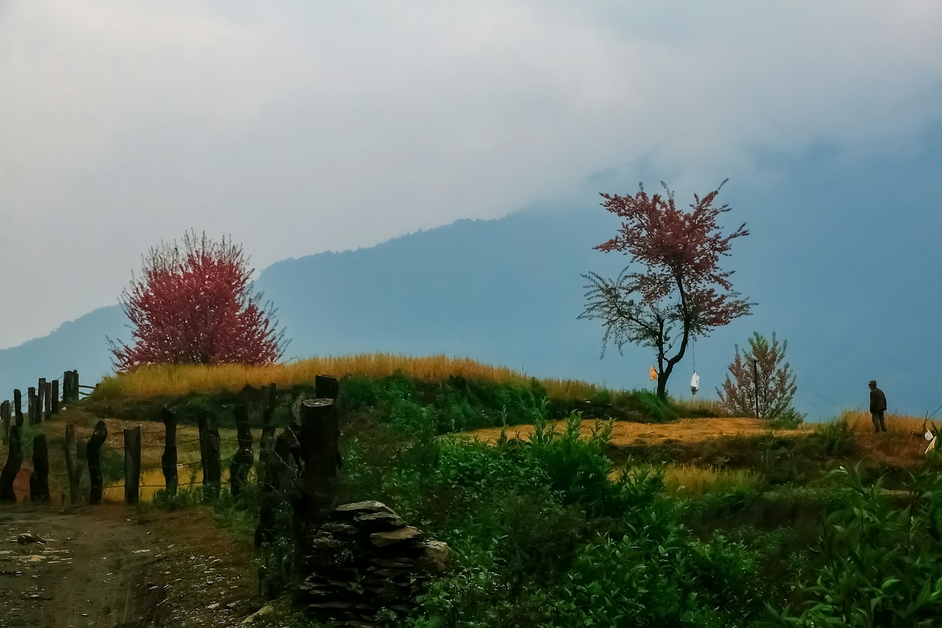 Gallery Img
